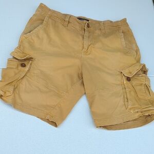 American Eagle Outfitters Men's Brown Cargo Shorts